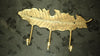 Brass feather coat hook rack with 3 hooks on dark wall background, decorative wall mounted organizer