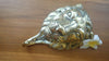 brass lion wall hook showing mounting base and wall attachment
