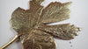 Close up of brass maple leaf hook showing detailed leaf vein and antique patina texture
