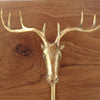 Real photo of the brass moose hook lying on a wooden surface, showing the full spread of the antlers and the shine of the hand-finished brass. A handmade brass animal hook and towel hook, made in Bali.