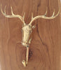 Unedited front-view photo of the brass moose wall hook on a warm wooden surface, showing the true polished gold finish, the branching antlers, the moose face and the curved hook. A genuine handmade rustic cabin hook from Ubud, Bali.