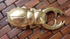 Brass scarab beetle bottle opener flat lay on brick surface, bar accessory