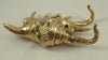 Angled view brass sea shell hook mounted on wall decorative coastal hardware
