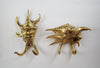 Brass sea shell hook set real photo showing two variants coastal wall decor hardware