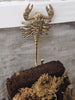 Brass scorpion plant hanger with trailing plant