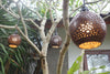 Outdoor bistro string lights with coconut shell shades creating cozy restaurant patio ambiance