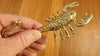 Close-up of gold finish brass scorpion wall hook in hand