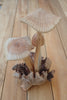 hand carved wooden mushroom sculpture with burl base minimalist rustic decor