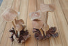 Vertical view of hand carved wooden mushroom sculpture with burl base minimalist rustic decor