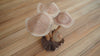 Wooden hand carved mushroom. Unique hand carved toadstool figurine