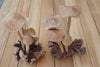 Wooden hand carved mushroom. Unique hand carved toadstool figurine