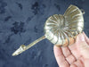 Brass sea shell, Trumpet Shell  Hook