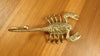 2 Pcs Brass Scorpion Wall Hooks – Gothic Dark Academia Key, Towel & Jewelry Hangers