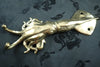 Nautical squid wall hook styled in ocean themed decor coastal home accessory