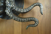 Close-up of octopus tentacle tip on a door, showing sculpted suction cup detail