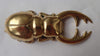 Brass scarab bottle opener product photo, unique beetle bar tool