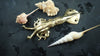 Squid wall hook styled with seashells beach house coastal nautical decor