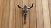 Real-life installed Texas longhorn brass wall hook on wood wall, western key hook and towel hanger.