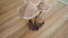 Wood mushroom figurine in natural light showing handcrafted details and rustic cottagecore decor style