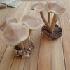 Hand carved wood mushroom sculpture displayed on wooden floor minimal rustic home decor